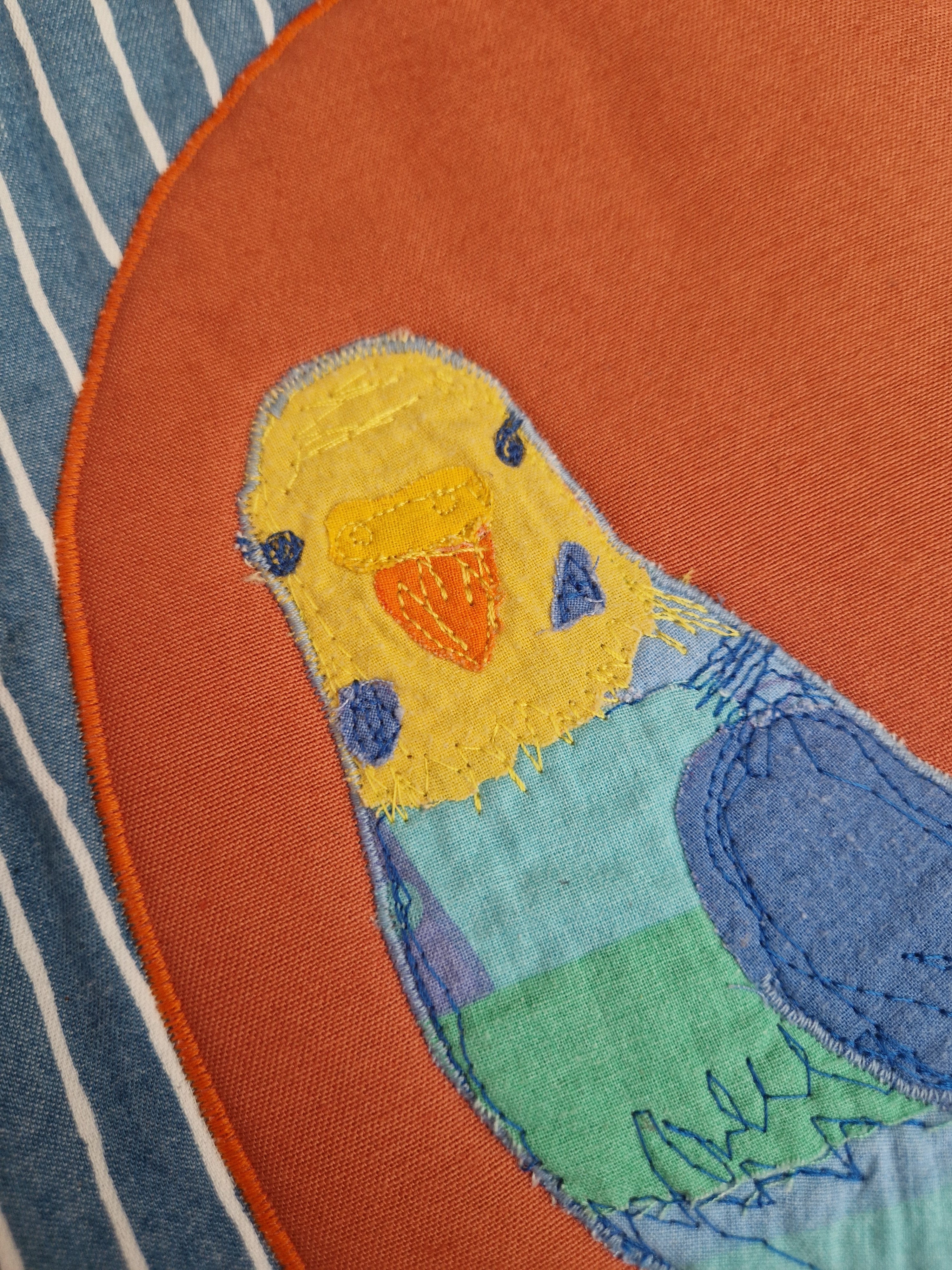 Budgie Waistcoat - Aged 4-5