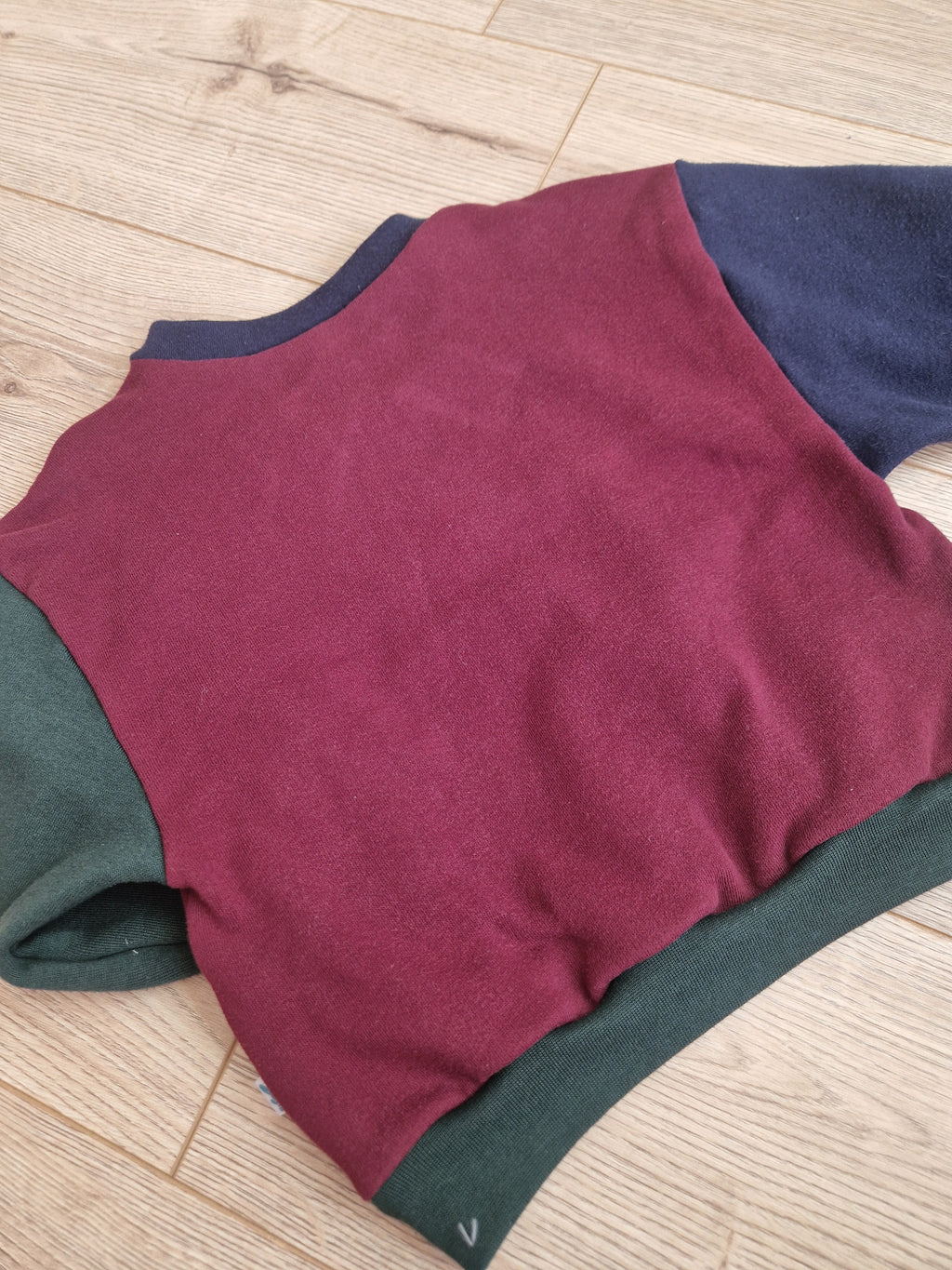 Creepy Crawlies Sweatshirt - Aged 3-4