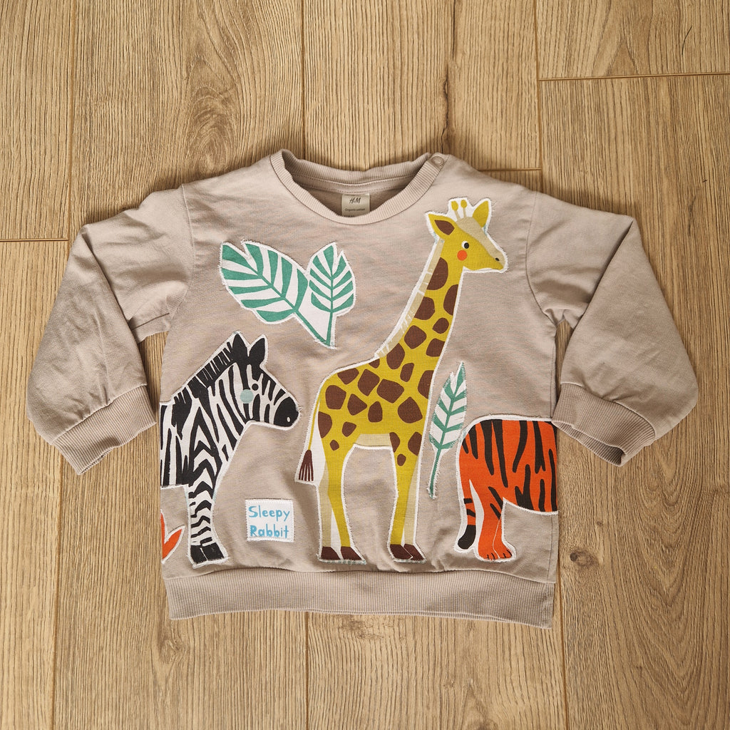 Applique Safari Sweater - Ages 18-24m